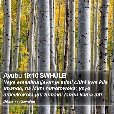 Ayubu 19:10 SWHULB Bible Verse Image