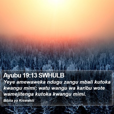 Ayubu 19:13 SWHULB Bible Verse Image
