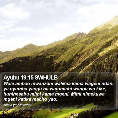 Ayubu 19:15 SWHULB Bible Verse Image