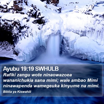 Ayubu 19:19 SWHULB Bible Verse Image
