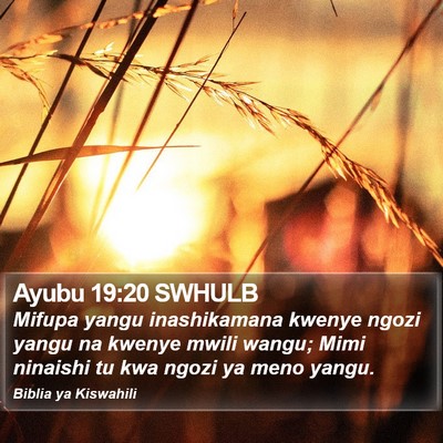 Ayubu 19:20 SWHULB Bible Verse Image