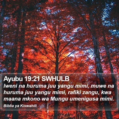 Ayubu 19:21 SWHULB Bible Verse Image