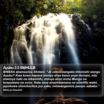 Ayubu 2:3 SWHULB Bible Verse Image