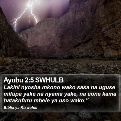 Ayubu 2:5 SWHULB Bible Verse Image