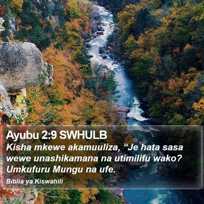 Ayubu 2:9 SWHULB Bible Verse Image