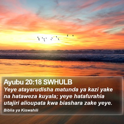 Ayubu 20:18 SWHULB Bible Verse Image