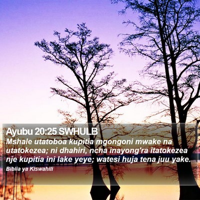 Ayubu 20:25 SWHULB Bible Verse Image
