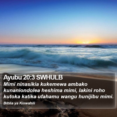 Ayubu 20:3 SWHULB Bible Verse Image