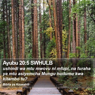 Ayubu 20:5 SWHULB Bible Verse Image