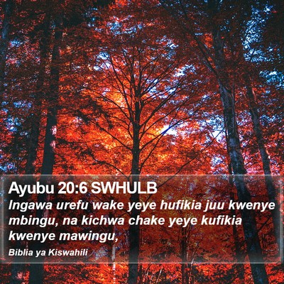 Ayubu 20:6 SWHULB Bible Verse Image