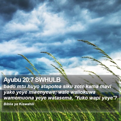 Ayubu 20:7 SWHULB Bible Verse Image