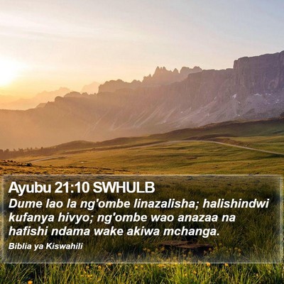 Ayubu 21:10 SWHULB Bible Verse Image