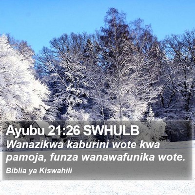 Ayubu 21:26 SWHULB Bible Verse Image