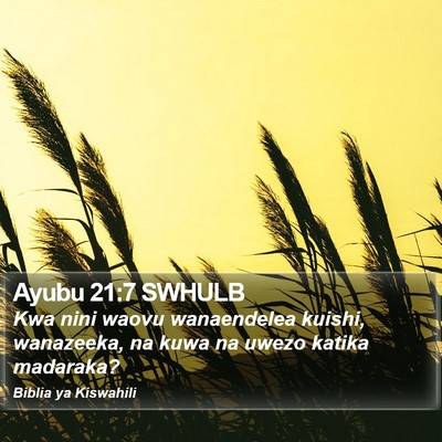 Ayubu 21:7 SWHULB Bible Verse Image