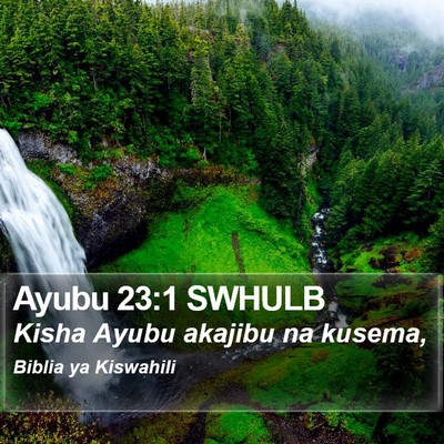 Ayubu 23:1 SWHULB Bible Verse Image