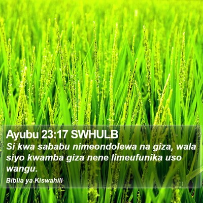 Ayubu 23:17 SWHULB Bible Verse Image