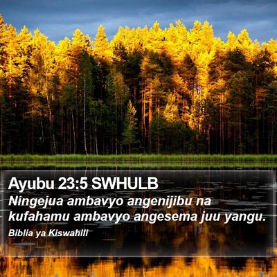 Ayubu 23:5 SWHULB Bible Verse Image