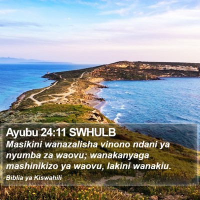 Ayubu 24:11 SWHULB Bible Verse Image