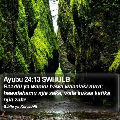 Ayubu 24:13 SWHULB Bible Verse Image
