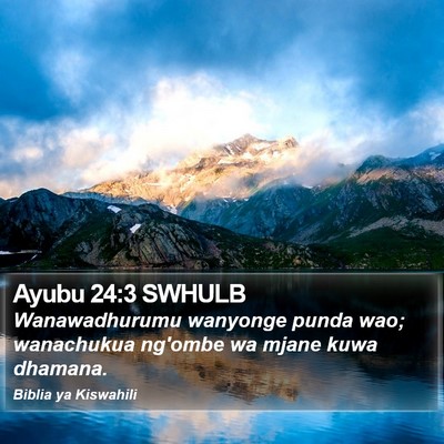 Ayubu 24:3 SWHULB Bible Verse Image