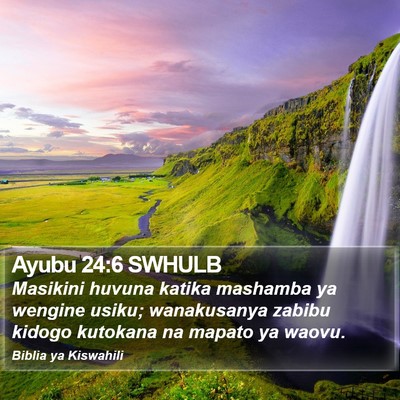 Ayubu 24:6 SWHULB Bible Verse Image