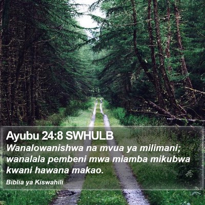 Ayubu 24:8 SWHULB Bible Verse Image