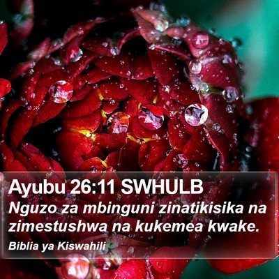 Ayubu 26:11 SWHULB Bible Verse Image