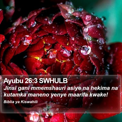 Ayubu 26:3 SWHULB Bible Verse Image