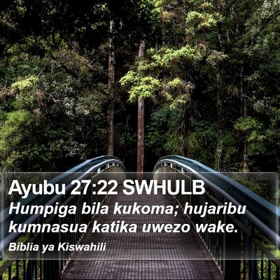 Ayubu 27:22 SWHULB Bible Verse Image