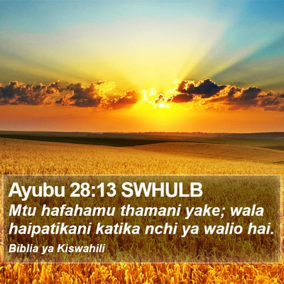 Ayubu 28:13 SWHULB Bible Verse Image