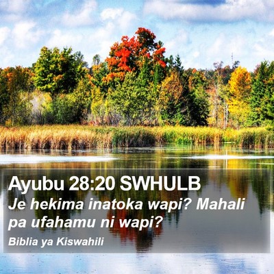 Ayubu 28:20 SWHULB Bible Verse Image
