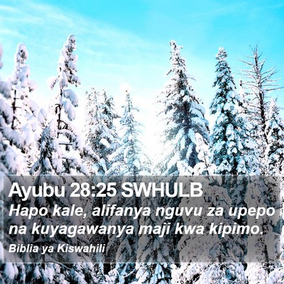 Ayubu 28:25 SWHULB Bible Verse Image