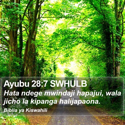 Ayubu 28:7 SWHULB Bible Verse Image