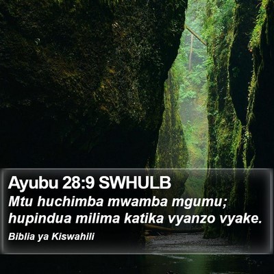 Ayubu 28:9 SWHULB Bible Verse Image