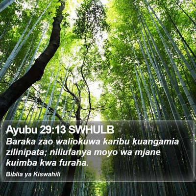 Ayubu 29:13 SWHULB Bible Verse Image