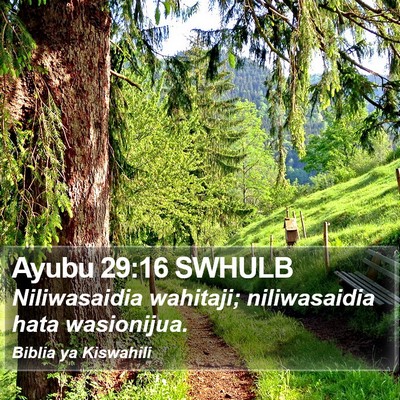Ayubu 29:16 SWHULB Bible Verse Image