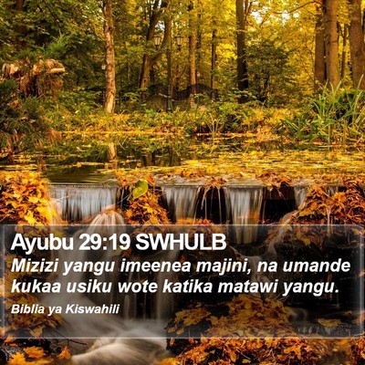 Ayubu 29:19 SWHULB Bible Verse Image