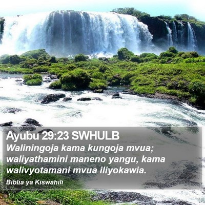 Ayubu 29:23 SWHULB Bible Verse Image