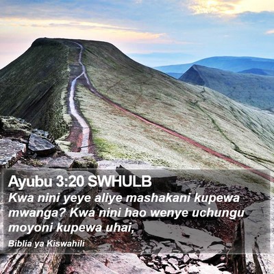 Ayubu 3:20 SWHULB Bible Verse Image