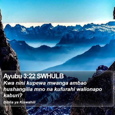 Ayubu 3:22 SWHULB Bible Verse Image