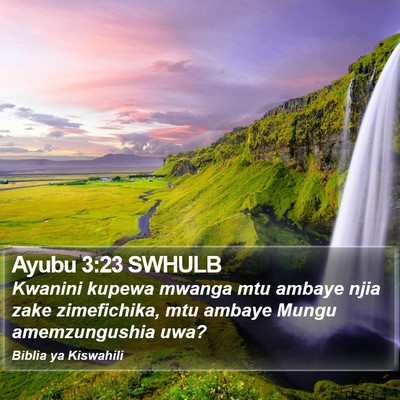 Ayubu 3:23 SWHULB Bible Verse Image