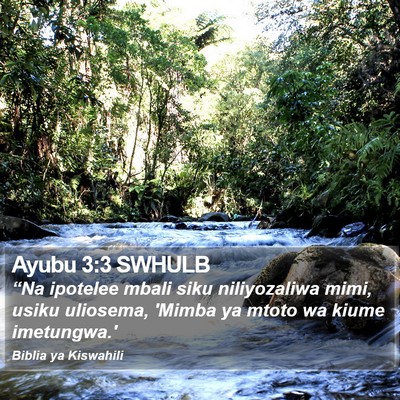 Ayubu 3:3 SWHULB Bible Verse Image