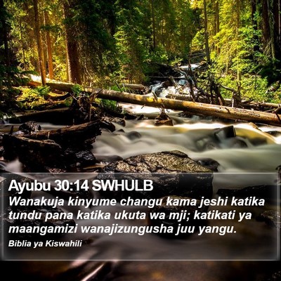 Ayubu 30:14 SWHULB Bible Verse Image