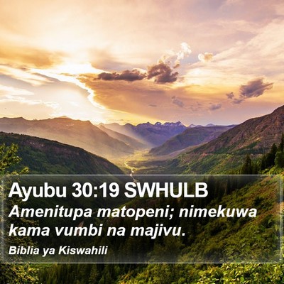 Ayubu 30:19 SWHULB Bible Verse Image