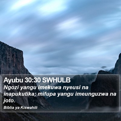 Ayubu 30:30 SWHULB Bible Verse Image