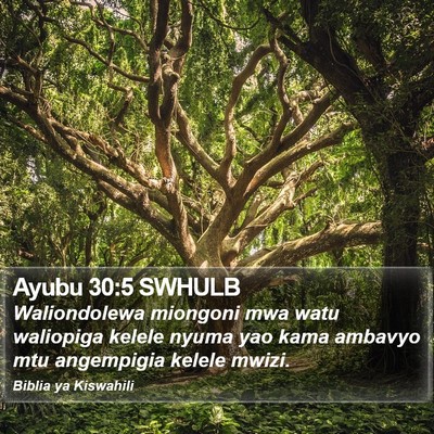Ayubu 30:5 SWHULB Bible Verse Image