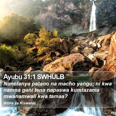 Ayubu 31:1 SWHULB Bible Verse Image