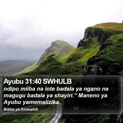 Ayubu 31:40 SWHULB Bible Verse Image
