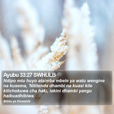 Ayubu 33:27 SWHULB Bible Verse Image