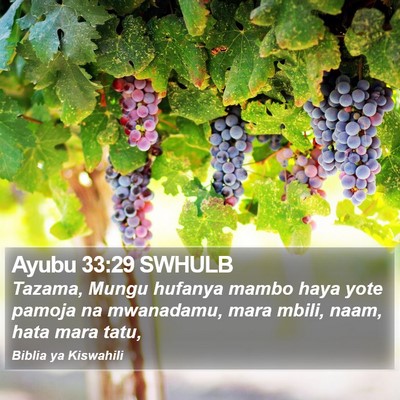 Ayubu 33:29 SWHULB Bible Verse Image